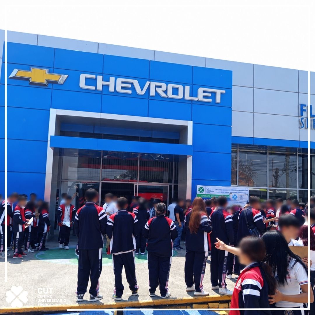 Galería CUT 7